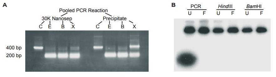 ultrafiltration digestion efficiency